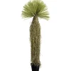 Outlet KARE Design Deco Plant Yucca 180cm