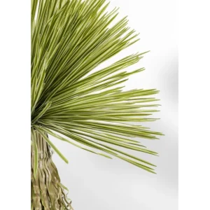 Outlet KARE Design Deco Plant Yucca 180cm