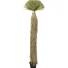 Online KARE Design Deco Plant Yucca Rostrata 240cm