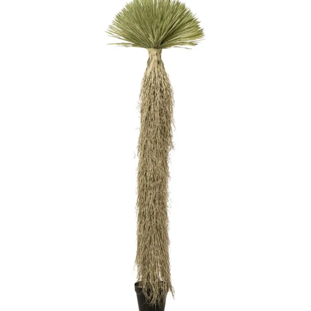 deco_plant_yucca_rostrata_0.webp Online KARE Design Deco Plant Yucca Rostrata 240cm