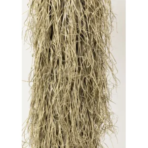 Online KARE Design Deco Plant Yucca Rostrata 240cm