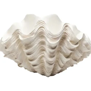 Sale KARE Design Deco Vase Concha 29cm