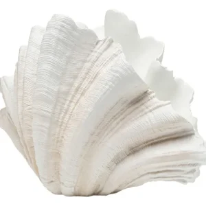 Clearance KARE Design Deco Vase Concha 57cm