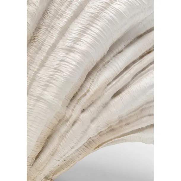 deco_vase_concha_cm_6-1.webp Clearance KARE Design Deco Vase Concha 57cm