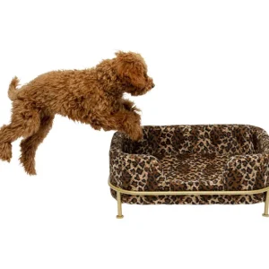 Online KARE Design Dog Bed Diva Leo