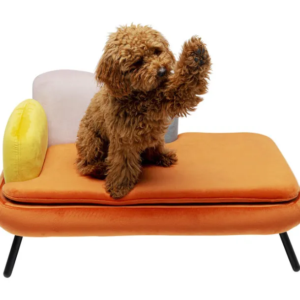 dogcat_bed_diva_orange_0.webp Online KARE Design Dog/Cat Bed Diva Orange