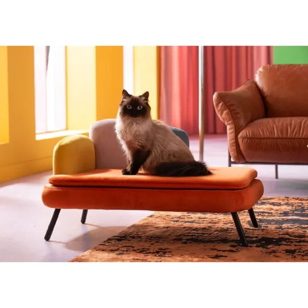 dogcat_bed_diva_orange_1.webp Online KARE Design Dog/Cat Bed Diva Orange