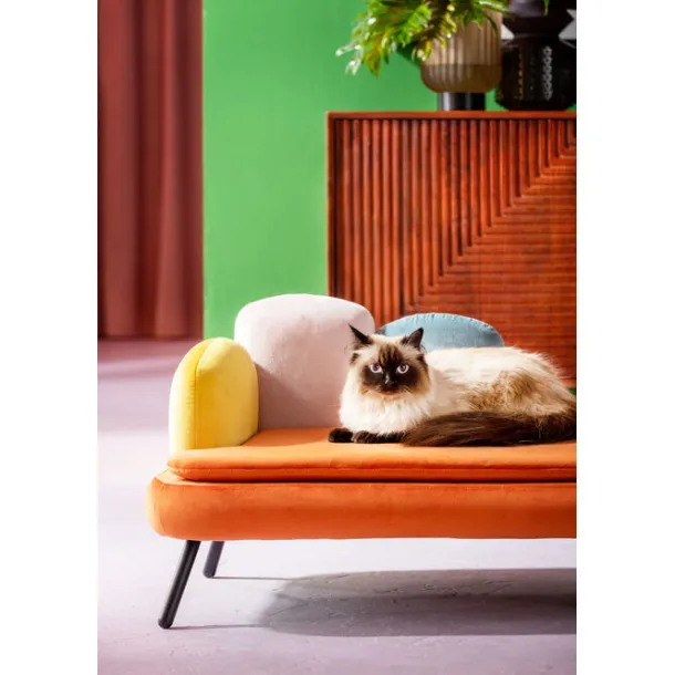 dogcat_bed_diva_orange_2.webp Online KARE Design Dog/Cat Bed Diva Orange