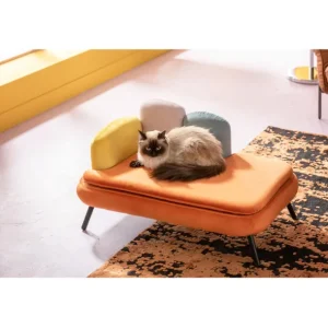 Online KARE Design Dog/Cat Bed Diva Orange