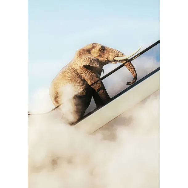 framed_picture_elephant_i_6.webp Sale KARE Design Framed Picture Elephant In The Sky 150x100cm
