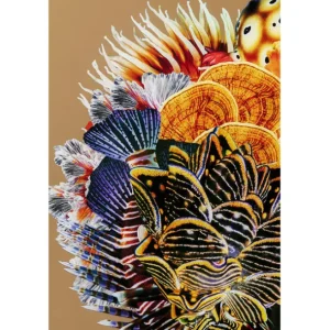 Best KARE Design Framed Picture Flower Hair 120x120cm