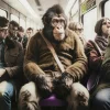 Online KARE Design Glass Picture Commuter Monkey 60x60cm