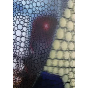 New KARE Design Picture Frame 3D King 70x57