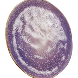 Best KARE Design Plate Shirley Violet Ø26cm
