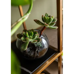 Discount KARE Design Shelf Cesaro 90x170cm