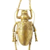 Best KARE Design Wall Object Longicorn Beetle Gold