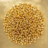 New KARE Design Wall Object Mikado Gold 120x120cm