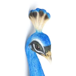 Clearance KARE Design Wall Object Peacock